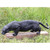 53" Grande Panther Outdoor Garden Statue - IMAGE 2