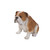 18.5" Sitting Bull Dog Outdoor Garden Statue - IMAGE 3