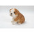6.5" Sitting Bulldog Puppy Outdoor Garden Statue - IMAGE 4