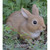 9.5" Sitting Rabbit Outdoor Garden Statue - IMAGE 5