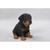Sitting Rottweiler Puppy Outdoor Garden Statue - 6.5" - IMAGE 1