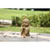 Lucky Japanese Jizo Praying Outdoor Garden Statue - 10.25" - Brown - IMAGE 1