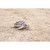 Baby Sea Turtle Outdoor Garden Statue - 6.5" - IMAGE 5
