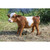 25.25" Standing Cow Outdoor Garden Statue - IMAGE 5