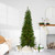 Pre-Lit Canadian Pine Artificial Pencil Christmas Tree - 6.5' - Clear Lights - IMAGE 1