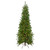 6.5' Pre-Lit Canadian Pine Artificial Pencil Christmas Tree - Clear Lights - IMAGE 1