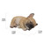 7" Sleeping French Bulldog Puppy Outdoor Garden Statue - IMAGE 2