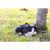 "7 Black and White Kitten Sleeping Outdoor Garden Figurine" - IMAGE 5