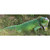 Iguana Lizard Outdoor Garden Statue - 24.25" - IMAGE 5