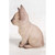 7.5" Sitting Siamese Kitten Outdoor Garden Statue - IMAGE 3