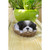 6.5" Basket Shih Tzu Outdoor Garden Statue - IMAGE 2