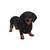 19.5" Standing Modern Dachshund Outdoor Garden Statue - IMAGE 4