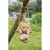 5.5" Tabby Kitten Hanging Outdoor Garden Statue - IMAGE 2