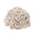 5.5" White Ceramic Coral Accent Piece Decor - IMAGE 1