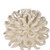 5.75" White Coastal Style Unique Spiky Designed Spherical Coral Decor - IMAGE 3