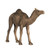 Rustic Style Standing Camel Statue - 9" - Copper Finish - IMAGE 3