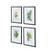 Botanical Flower Framed Wall Arts - 19.75" x 27.5" - Set of 4