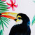 Toucan Framed Canvas Wall Arts - 23.75" x 31.75" - Set of 2 - IMAGE 5