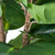 59" Black and Green Wide Fiddle-Leaf Fig Tree - IMAGE 5