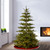 7.5’ Pre-Lit Glenwood Fir Artificial Christmas Tree, Clear Lights - IMAGE 2