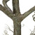 96" Brown and Gray Large Artificial Deadwood Twig Tree Standing Decor - IMAGE 2