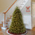 6’ Pre-Lit Dunhill Artificial Christmas Tree - Clear Lights - IMAGE 2