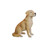 21.25" Brown and Yellow Sitting Labrador Retriever Statue - IMAGE 3