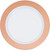 Disposable Bordered Party Plates - 10" - White and Rose Gold - Club Pack of 120 - IMAGE 1