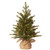 2' Pre-Lit Potted Nordic Spruce Full Artificial Christmas Tree, White Lights - IMAGE 1