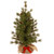 3' Slim Bristle Cone Pine Burlap Base Artificial Christmas Tree - Unlit - IMAGE 1