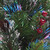 2' Pre-Lit Crestwood Spruce Full Artificial Christmas Tree, Multicolor LED Lights - IMAGE 3