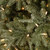 7.5' Pre-Lit Frosted Geneva Artificial Christmas Tree, Clear Lights - IMAGE 3