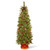 6' Pre-Lit Potted Pencil Colonial Fir Artificial Christmas Half Wall Tree, Clear Lights - IMAGE 1