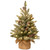 2' Pre-lit Potted Snowy Concolor Fir Artificial Christmas Tree, White LED Lights - IMAGE 1