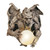 Merciless the Gargoyle Lighted Wall Sculpture - 17" - Brown and White - IMAGE 1