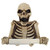 Bone Dry Skeleton Bathroom Toilet Paper Holder - 9.5" - IMAGE 1