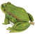 8.5" Friendly Frog Piped Toad Spitter Outdoor Garden Statue - IMAGE 3