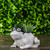 9.75" Gray Silly Bespectacled Frog Spring Outdoor Patio Garden Planter - IMAGE 2