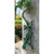 38.5" Giant Gecko Lizard Outdoor Garden Statue - IMAGE 2