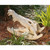 28" Crocodile Skull Sculpture Outdoor Garden Statue - IMAGE 2
