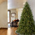 6.5’ Pre-Lit Jersey Fraser Fir Artificial Christmas Tree, White Lights - IMAGE 2