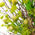 Budding Flowers, Leaves and Twigs Artificial Floral Wreath - 20" - Yellow - IMAGE 5