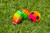 Set of 3 Rainbow Pebble Textured PVC Sports Water Sports Balls - IMAGE 6