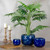 Set of 3 Blue Textured Planter Set 11" - IMAGE 2