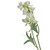 29.5" Green and White Lark Spur Artificial Spray - IMAGE 2