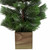 3' Snowy Pine Artificial Christmas Tree in Wooden Pot - Unlit - IMAGE 4