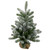 B/O Frosted Pine Artificial Christmas Tree with Burlap - 2' - Warm White Lights - IMAGE 1