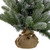 B/O Frosted Pine Artificial Christmas Tree with Burlap - 2' - Warm White Lights - IMAGE 3