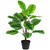 Two-Tone Calathea Artificial Potted Plant - 30" - IMAGE 1