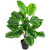 30" Two-Tone Green Calathea Artificial Potted Plant - IMAGE 3